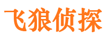 河南市婚姻出轨调查